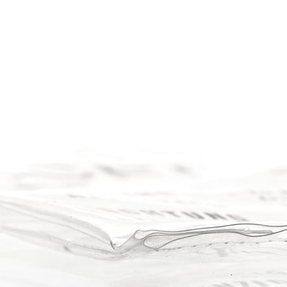 Celine Plastic Bag with Cloudy Lambskin Solo Zip Pouch Clutch Lime 10 of 13