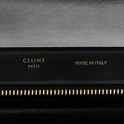 Celine Bullhide Calfskin Nubuck Small Tri-Color Trapeze Coffee 6 of 11