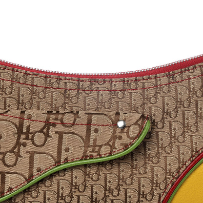 Christian Dior Monogram Rasta Double Saddle Beige 8 of 8