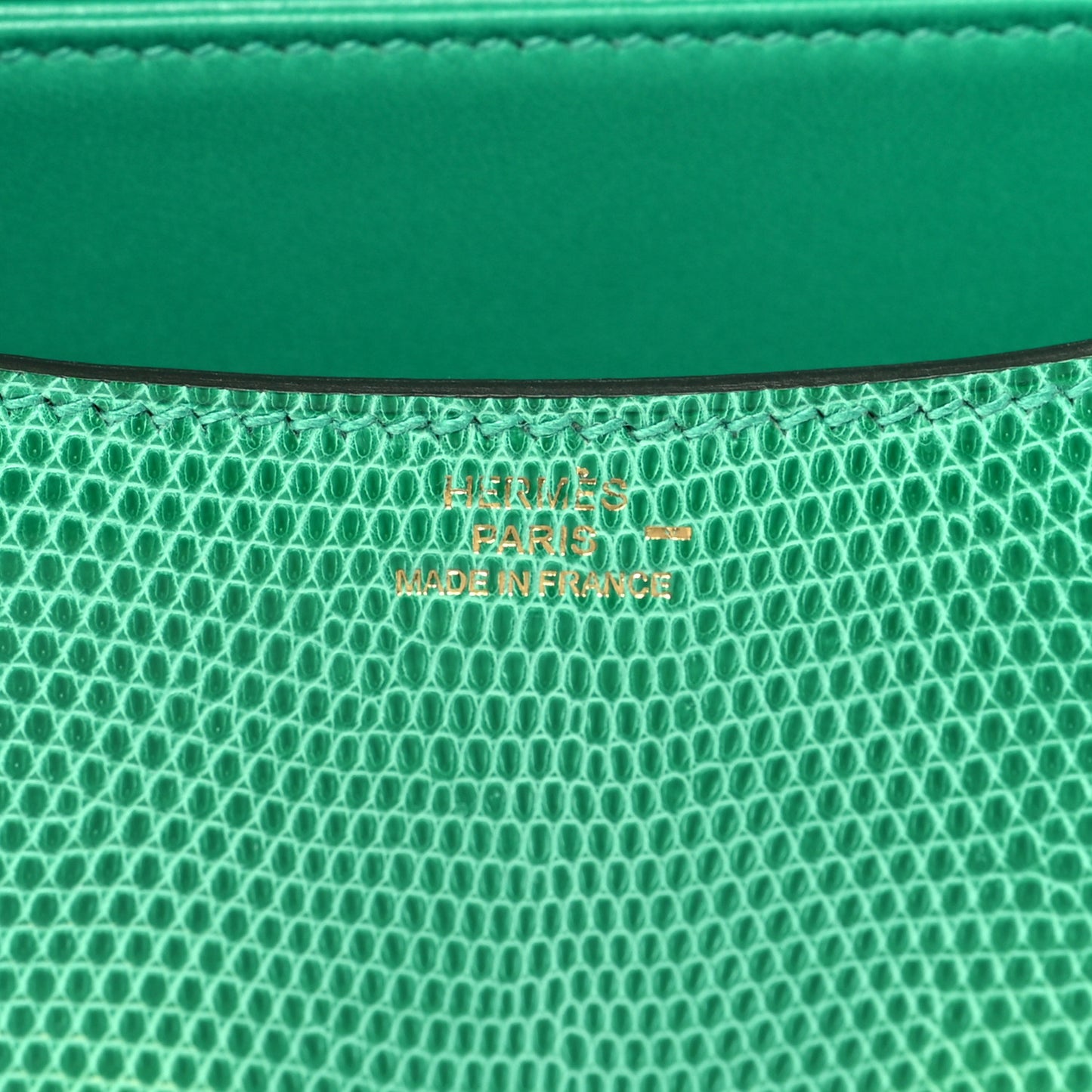 Lizard Constance 18 Menthe