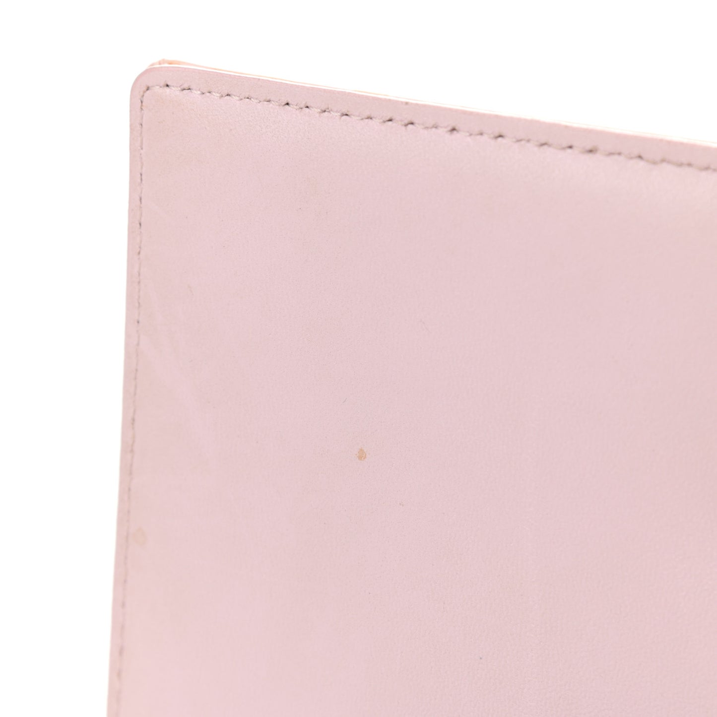 Patent Micro-Cannage Small Diorama Flap Bag Rose