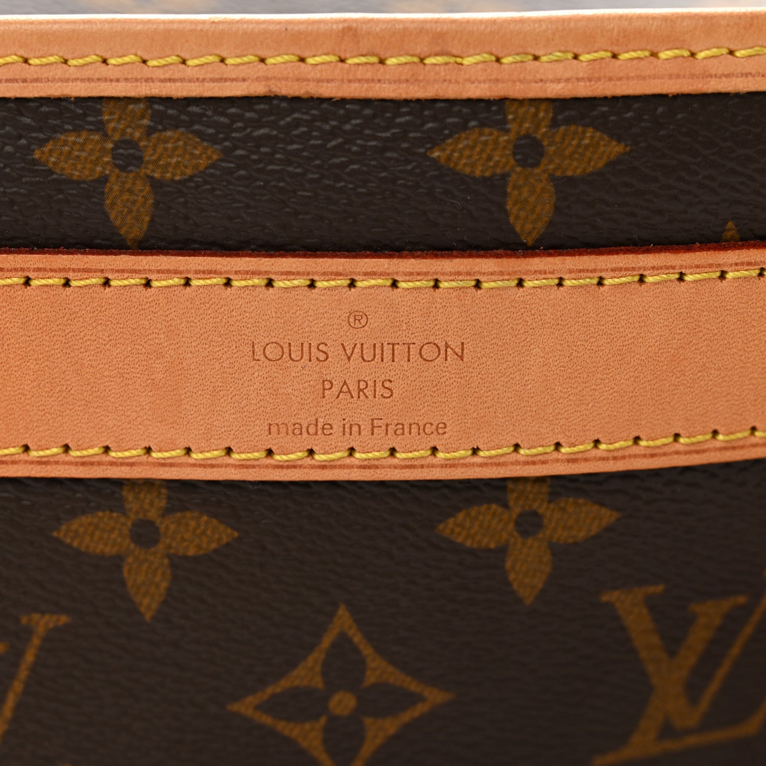 Louis Vuitton Monogram Dog Carrier 45 5 of 15