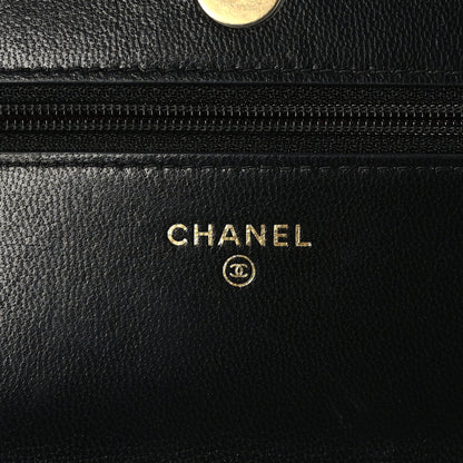 Chanel Lambskin Quilted Chanel 19 Wallet On Chain WOC Black 6 of 9