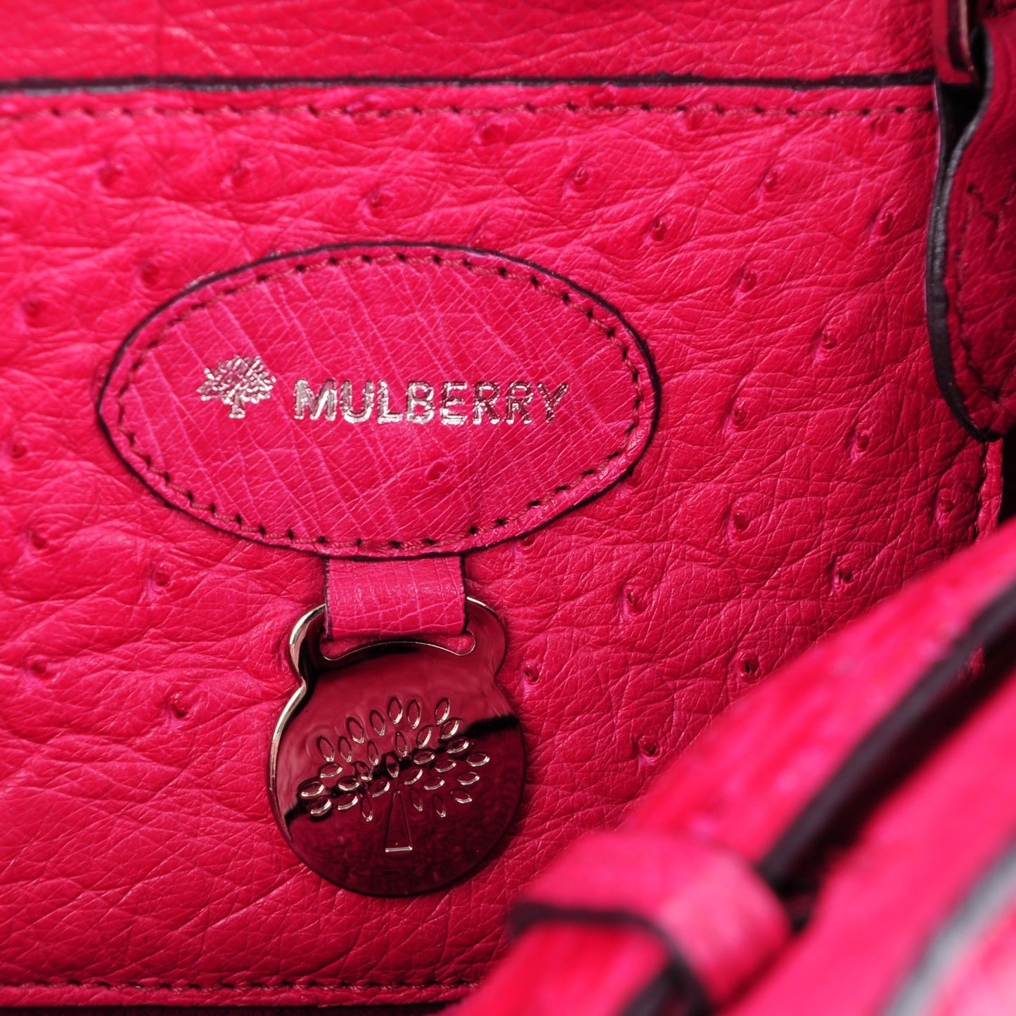 Ostrich Bayswater Fuchsia