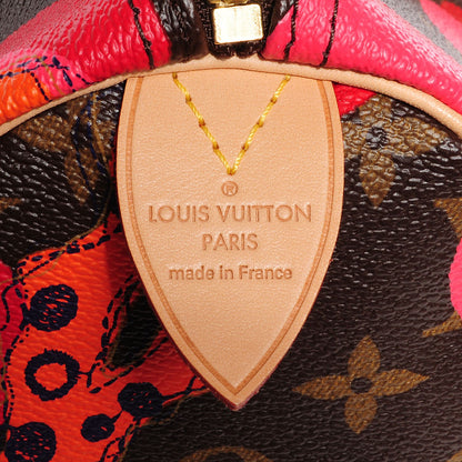 Louis Vuitton Monogram Ramages Speedy 30 Grenade 7 of 7