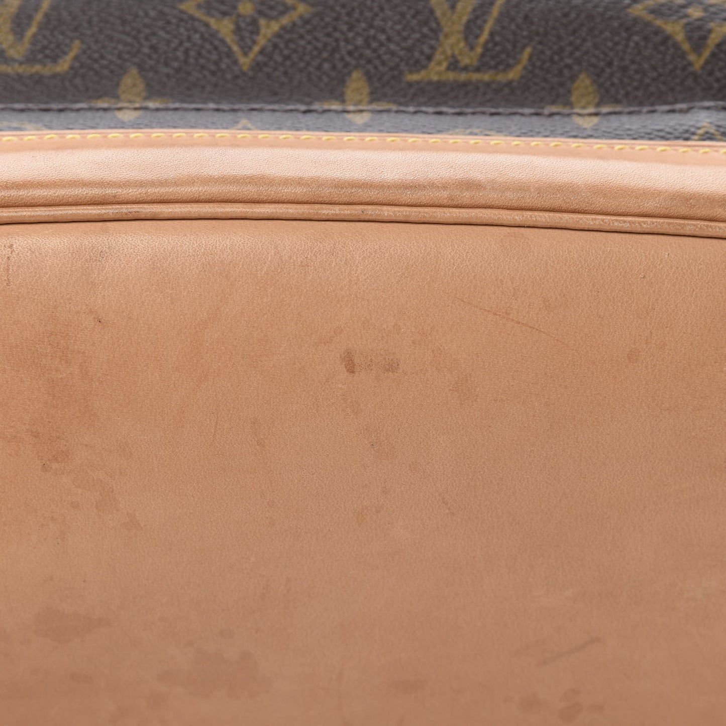 Monogram Montsouris GM Backpack