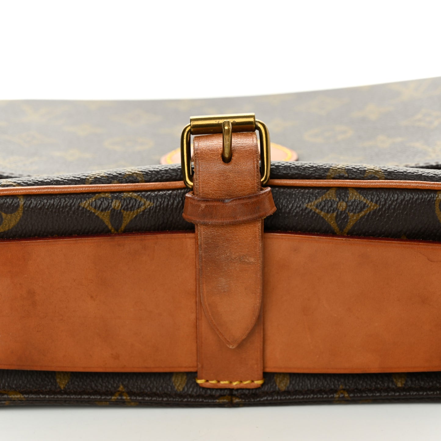 Monogram Cartouchiere 22