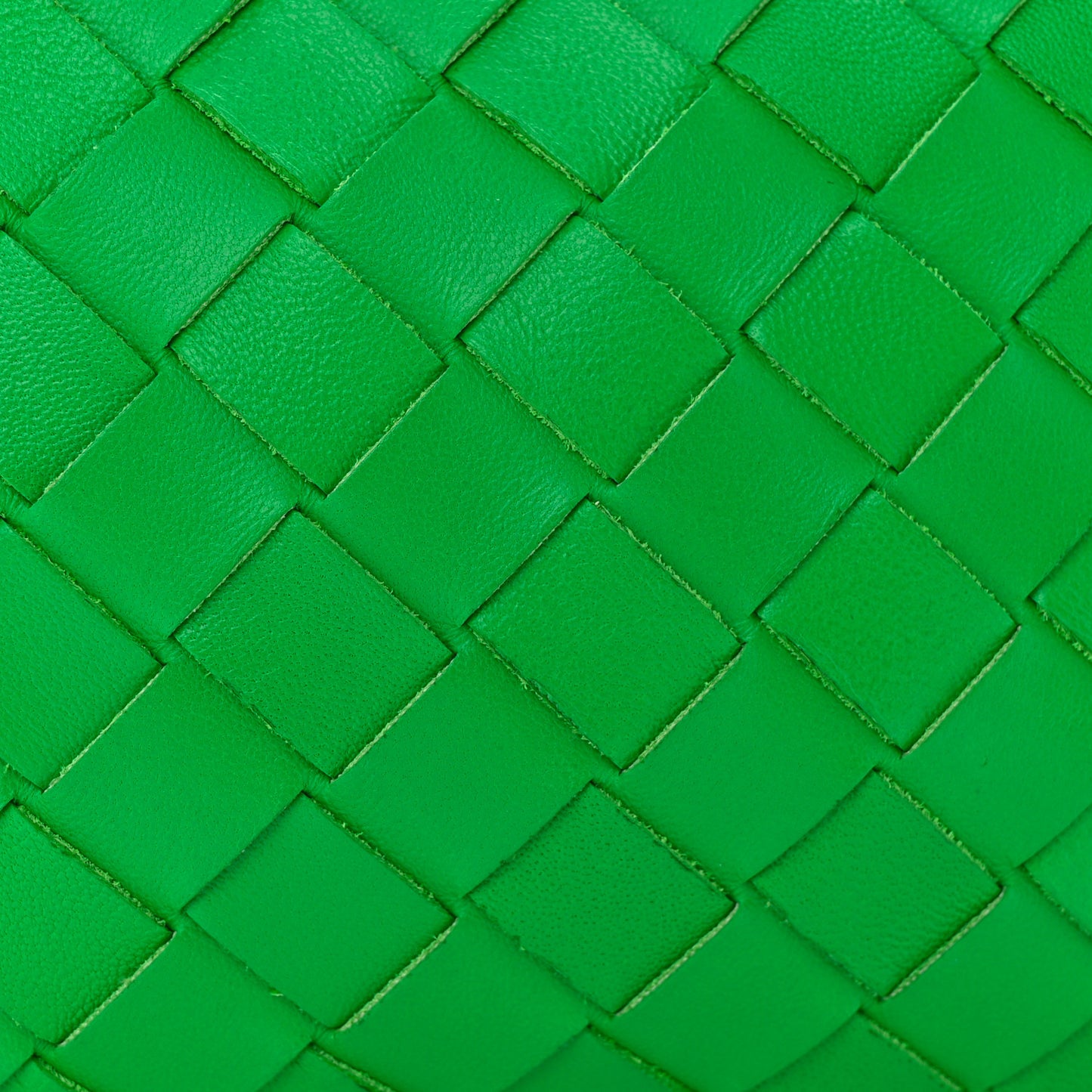 Nappa Intrecciato Mini Loop Camera Bag Parakeet