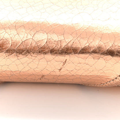 Christian Dior Metallic Ceramic Effect Deerskin Diorama Wallet on Chain Pouch Gold 7 of 15