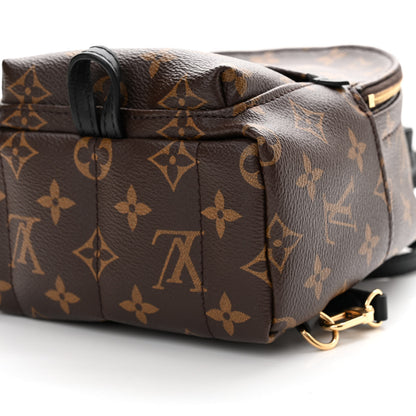 Louis Vuitton Monogram Palm Springs Backpack Mini 9 of 14