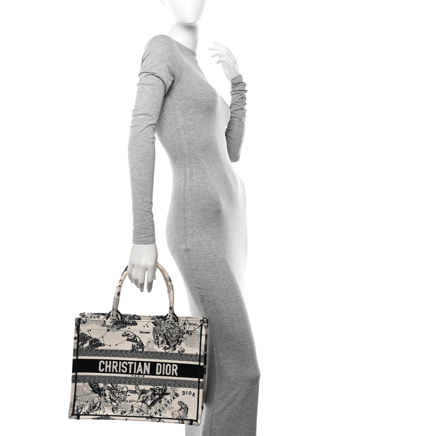 Canvas Zodiac Toile De Jouy Embroidered Medium Book Tote Latte