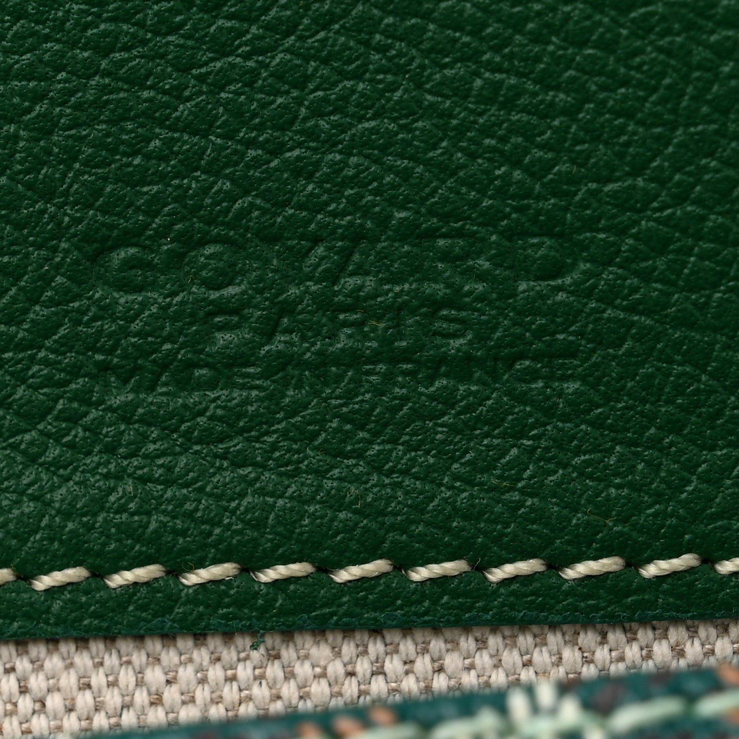 Goyard Goyardine Saint Louis PM Green 7 of 11