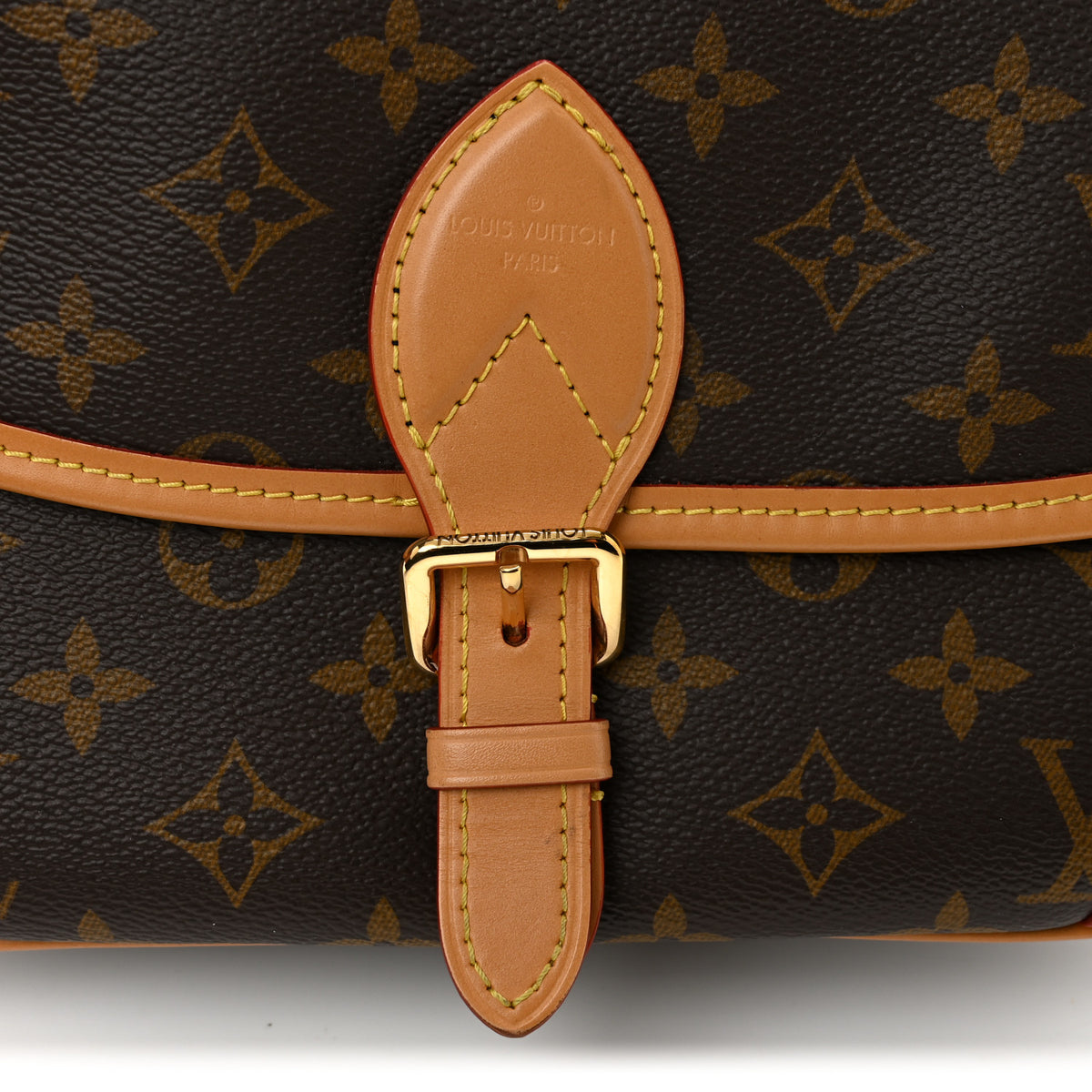 Louis Vuitton Monogram Diane 11 of 13