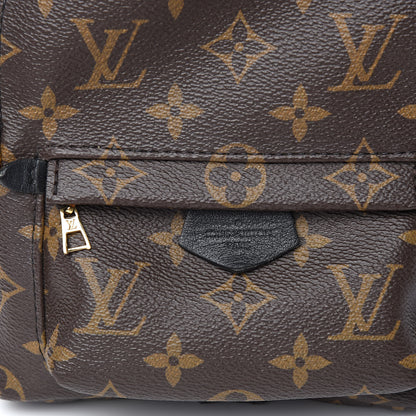 Louis Vuitton Monogram Palm Springs Backpack Mini 12 of 13