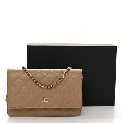 Chanel Caviar Quilted Wallet on Chain WOC Dark Beige 12 of 12