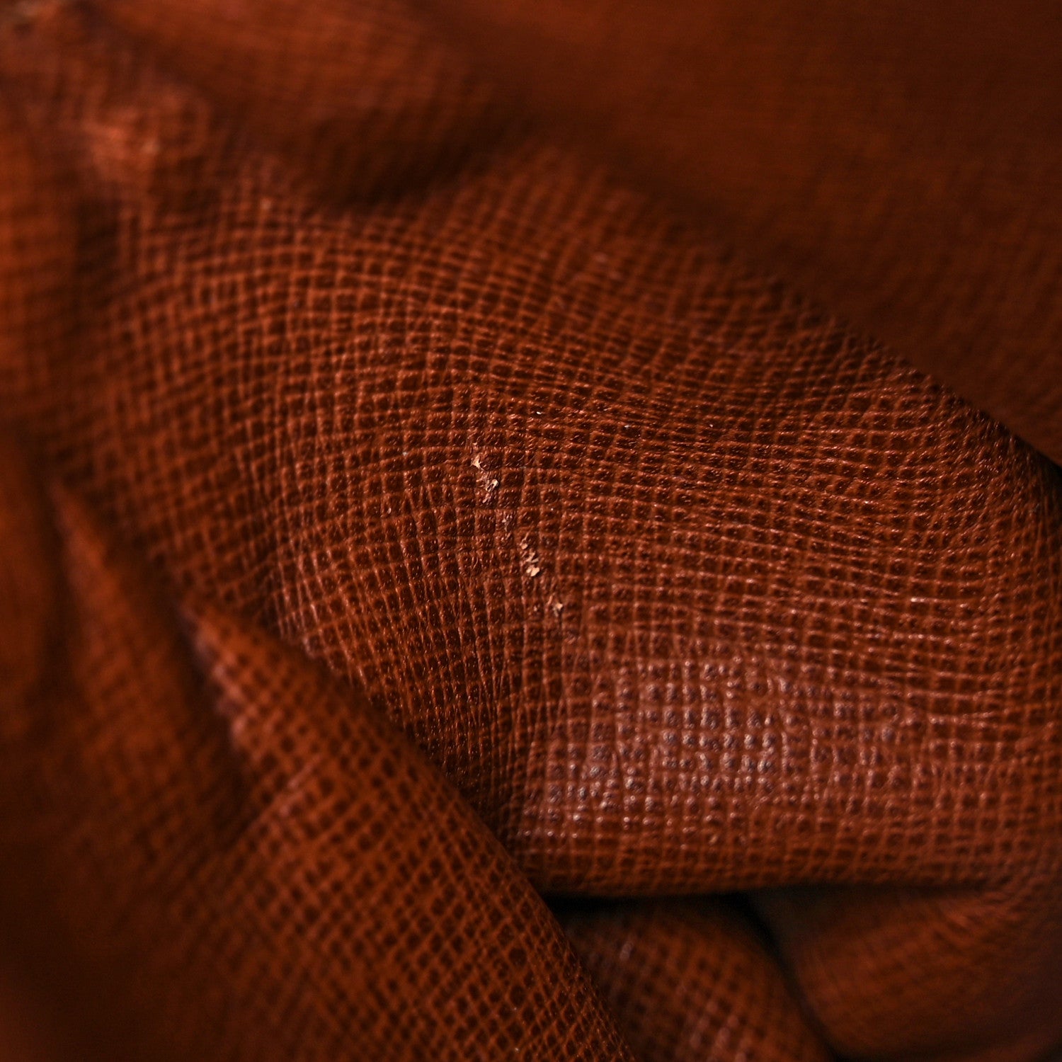 Louis Vuitton Monogram Amazone PM 20 of 21