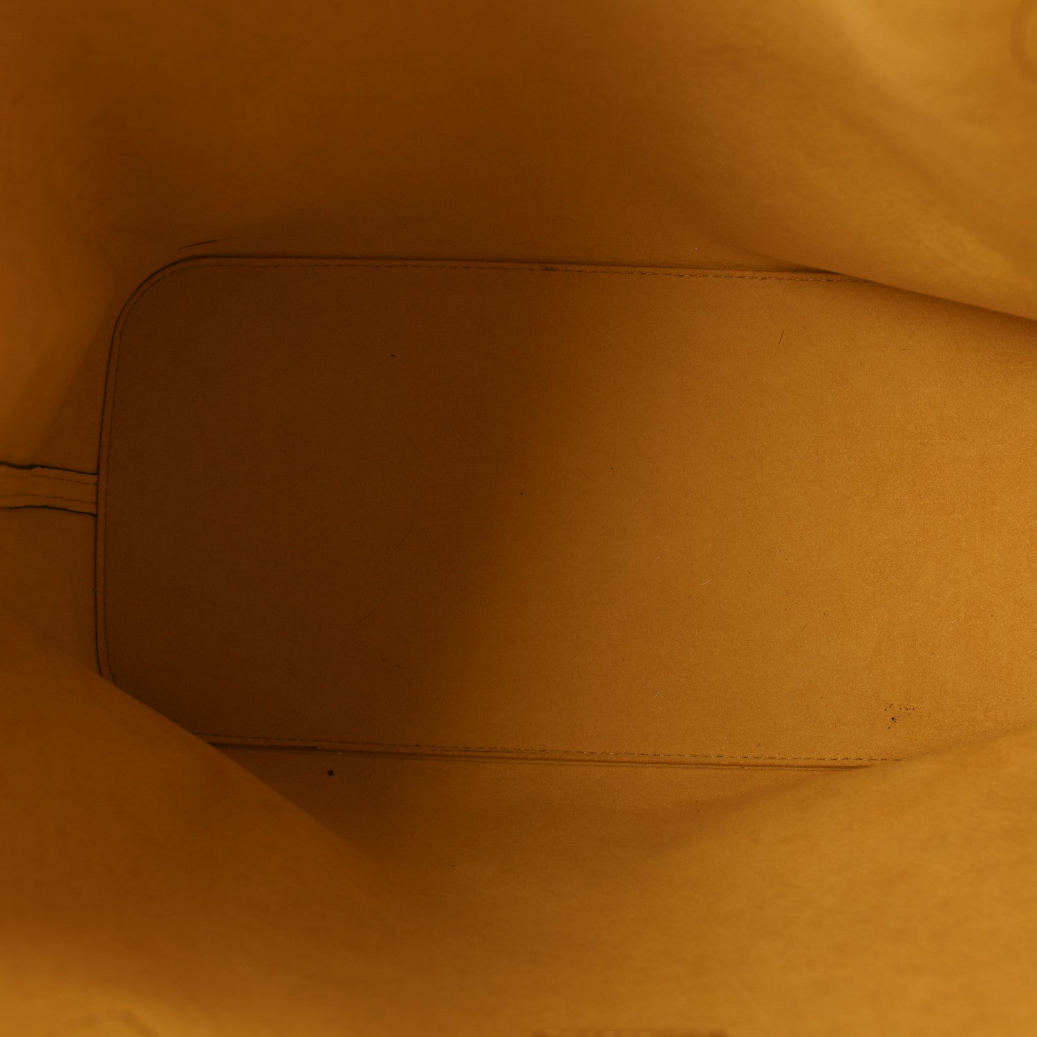 Louis Vuitton Epi Neverfull MM Mimosa 6 of 10