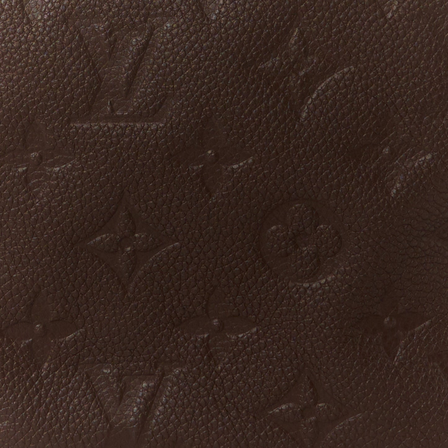 Empreinte Speedy Bandouliere 25 Terre