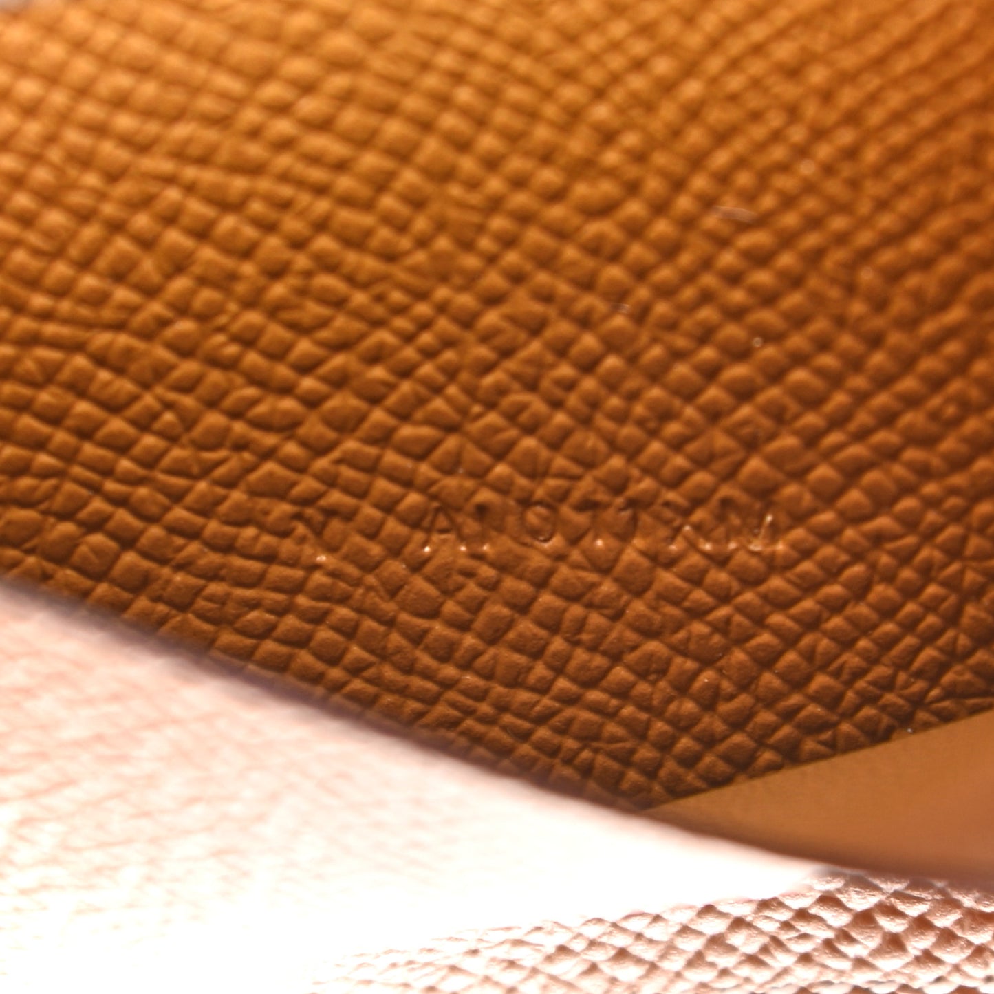 Epsom Bearn Card Holder Wallet Gold