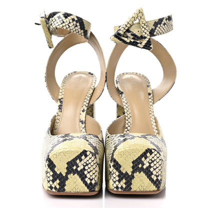 Bottega Veneta Faded Goatskin Python Printed Tower 40/140mm Platform Pumps 40.5 Kiwi Black 4 of 12