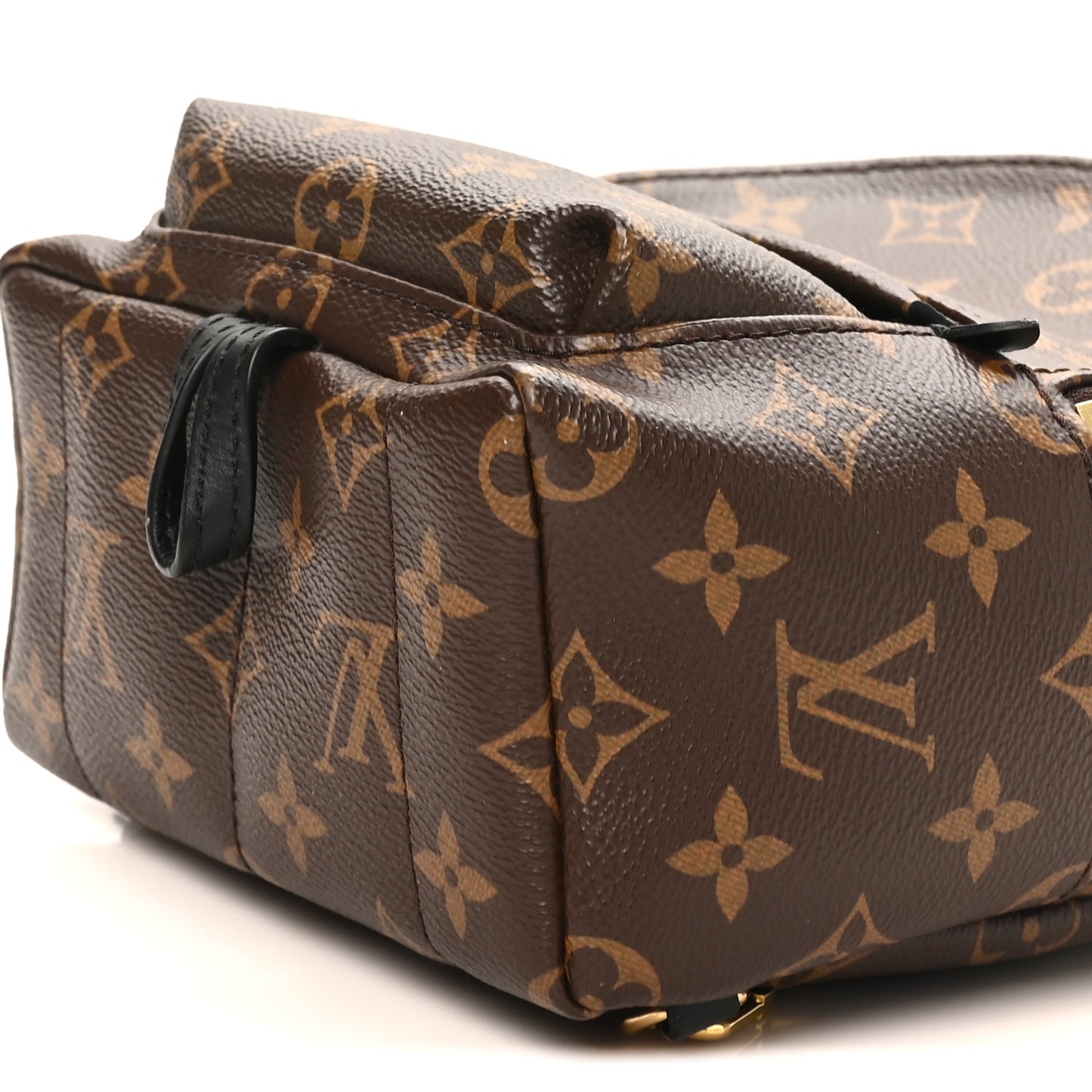 Monogram Palm Springs Backpack Mini