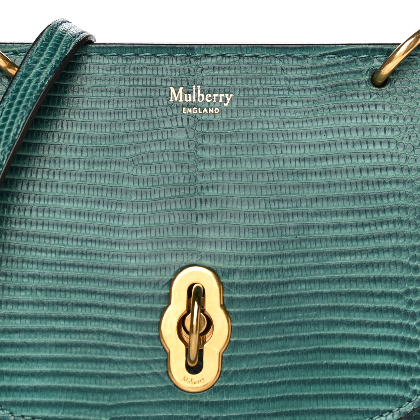 Lizard Embossed Calfskin Small Amberley Satchel Frozen