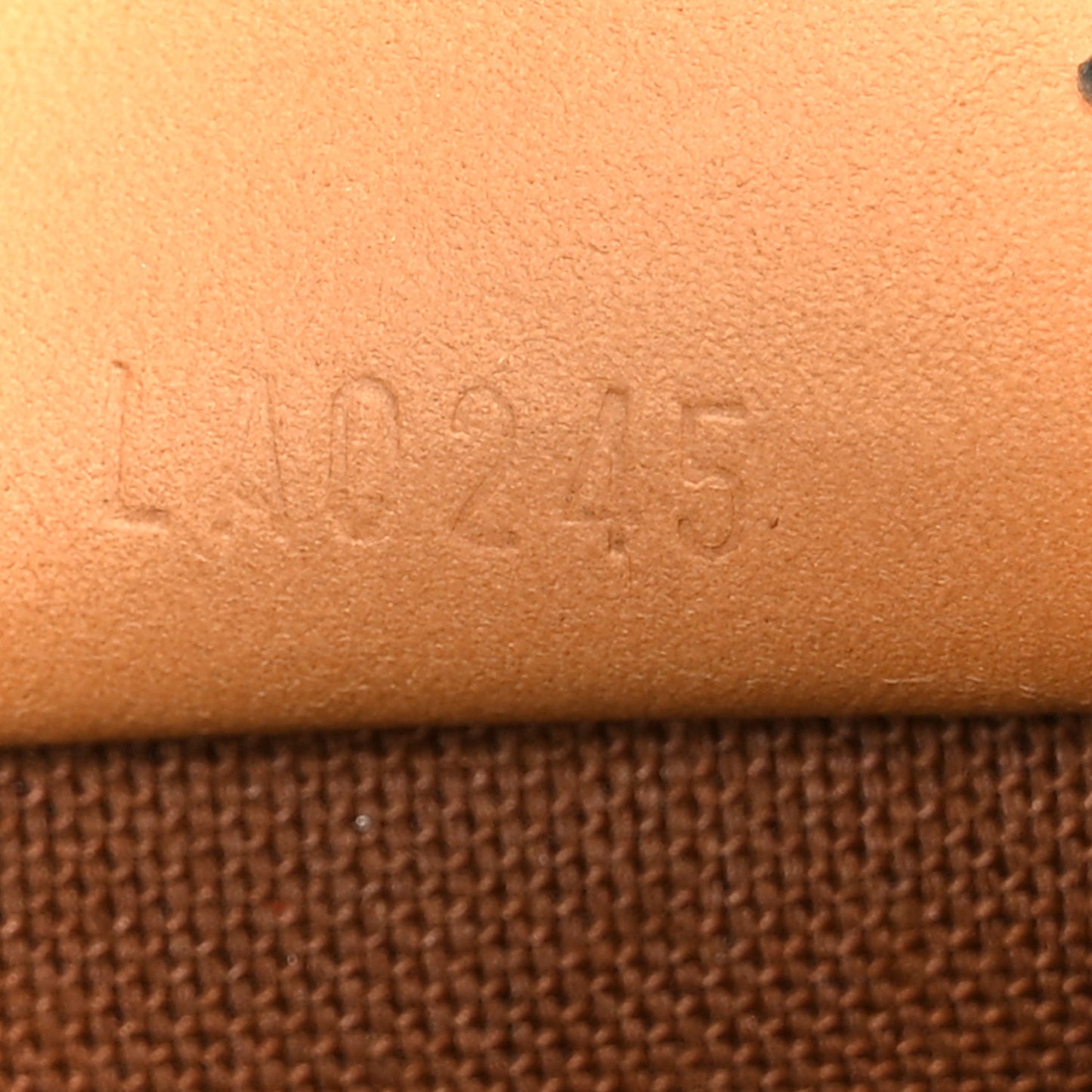 Monogram Nano Speedy Bandouliere