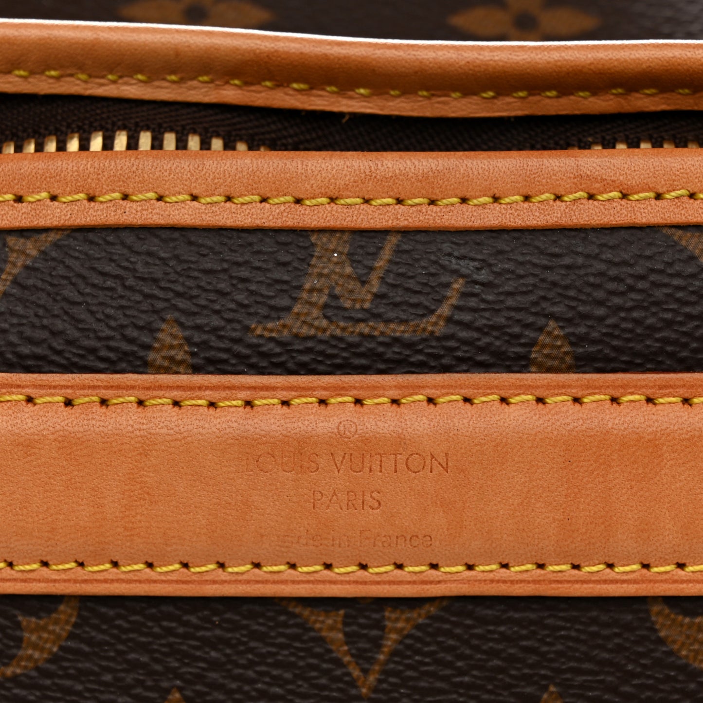 Monogram Sac Chien 40 Pet Carrier
