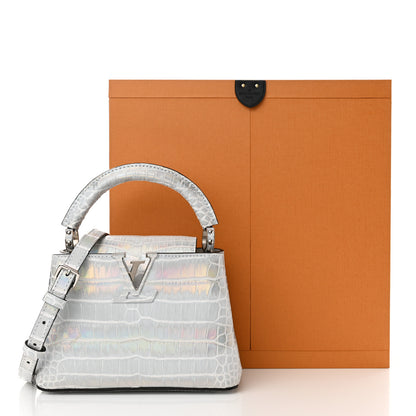 Louis Vuitton Alligator Mini Capucines Silver 10 of 10