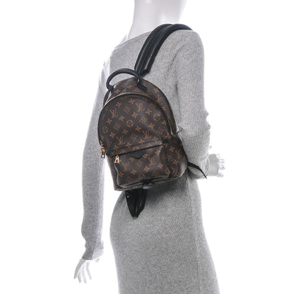 Louis Vuitton Monogram Palm Springs Backpack PM 2 of 6