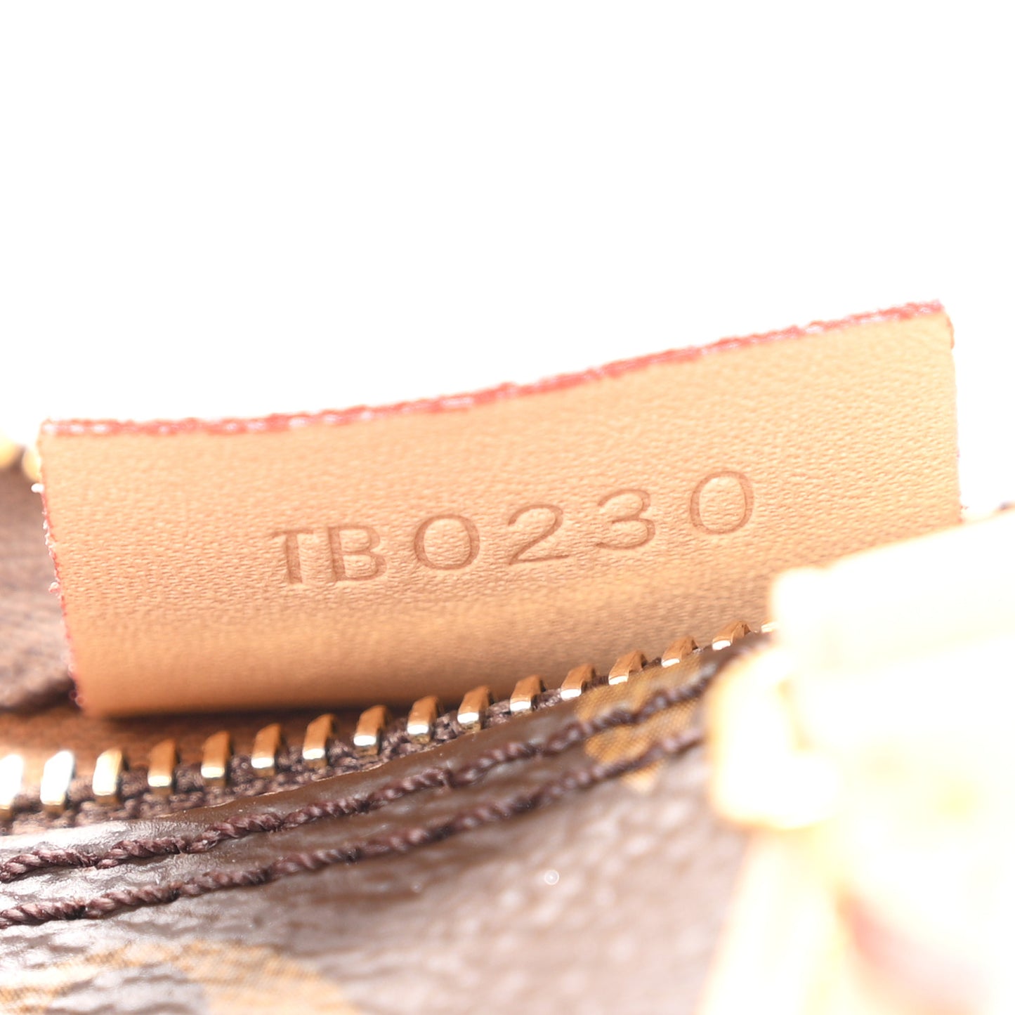 Monogram Nano Speedy