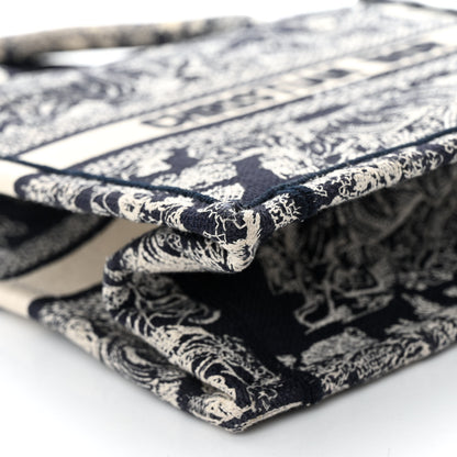 Christian Dior Canvas Embroidered Small Dioriviera Toile De Jouy Book Tote Blue 8 of 13