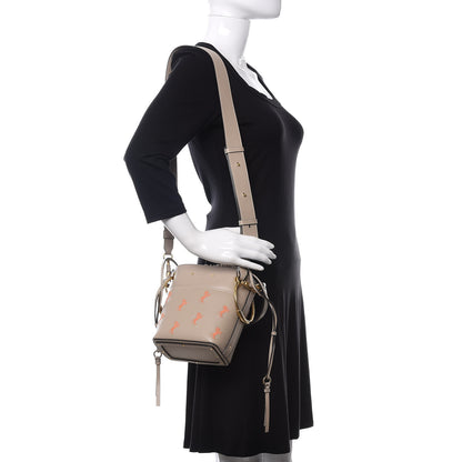 Chloe Smooth Calfskin Little Horses Embroidered Mini Roy Bucket Bag Pastel Grey 2 of 10