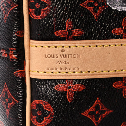 Louis Vuitton Catogram Speedy Bandouliere 30 Marron 6 of 14