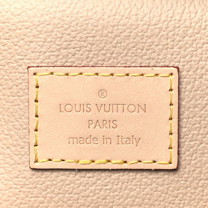 Louis Vuitton LOUIS VUITTON Monogram Nano Nice 6 of 8