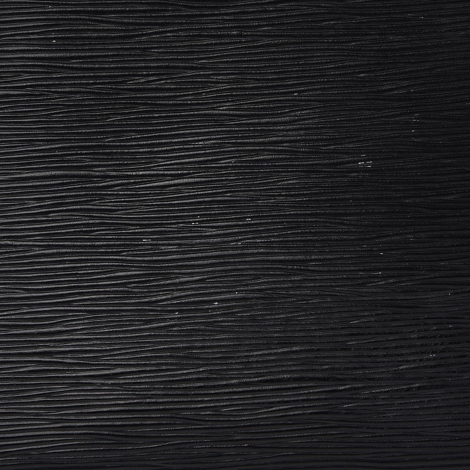 Louis Vuitton Epi Z Gemeaux Black 9 of 22