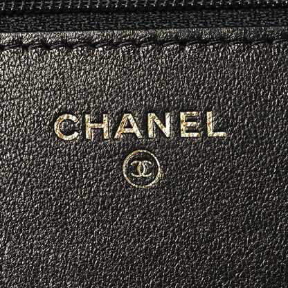 Chanel Lambskin Quilted Chanel 19 Wallet On Chain WOC Black 12 of 13