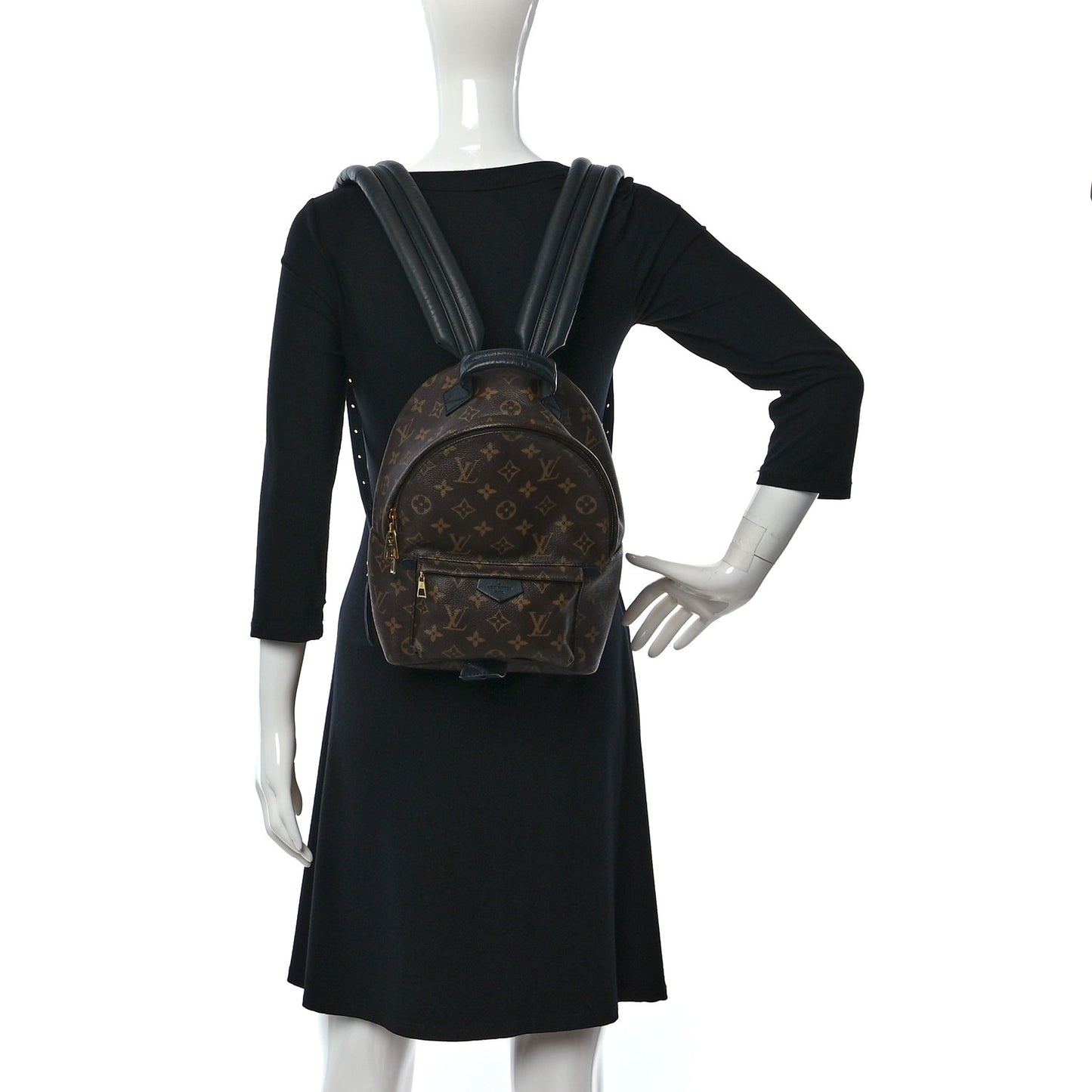 Monogram Palm Springs Backpack PM