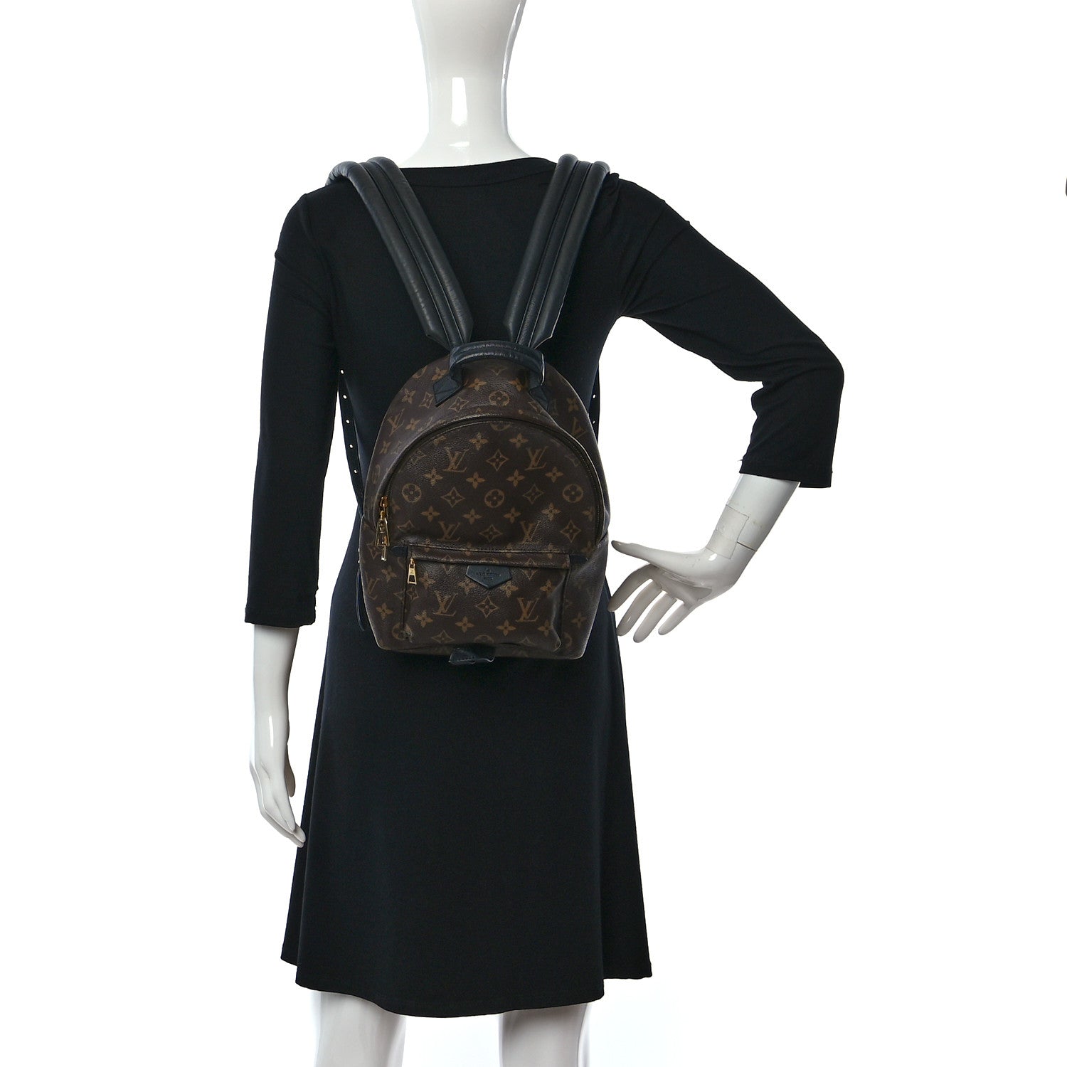 Louis Vuitton Monogram Palm Springs Backpack PM 2 of 12