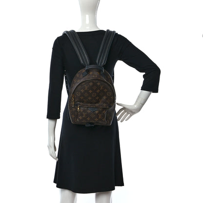 Louis Vuitton Monogram Palm Springs Backpack PM 2 of 12
