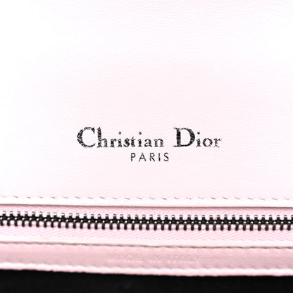 Christian Dior Ceramic Effect Deerskin Small Diorama Flap Bag Pink 6 of 15