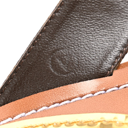 Louis Vuitton Monogram Sunny Flat Thong Sandals 38 Brown 12 of 12