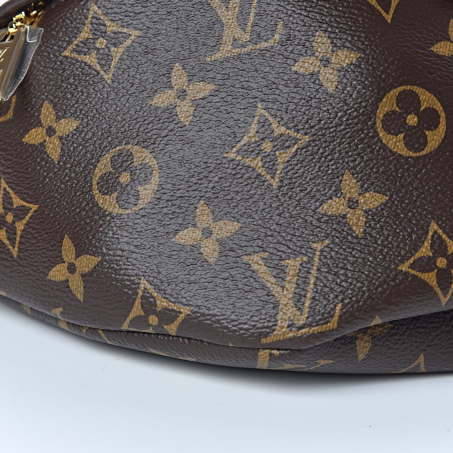 Louis Vuitton Monogram Bumbag 5 of 12