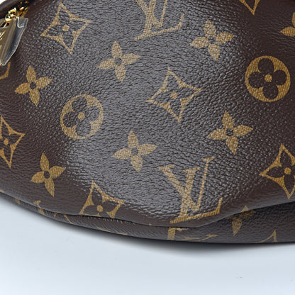 Louis Vuitton Monogram Bumbag 5 of 12