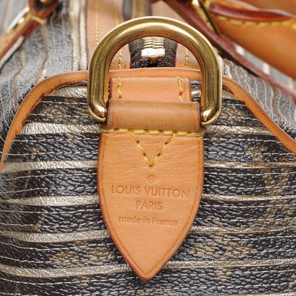 Louis Vuitton Monogram Eden Speedy Argent 6 of 11