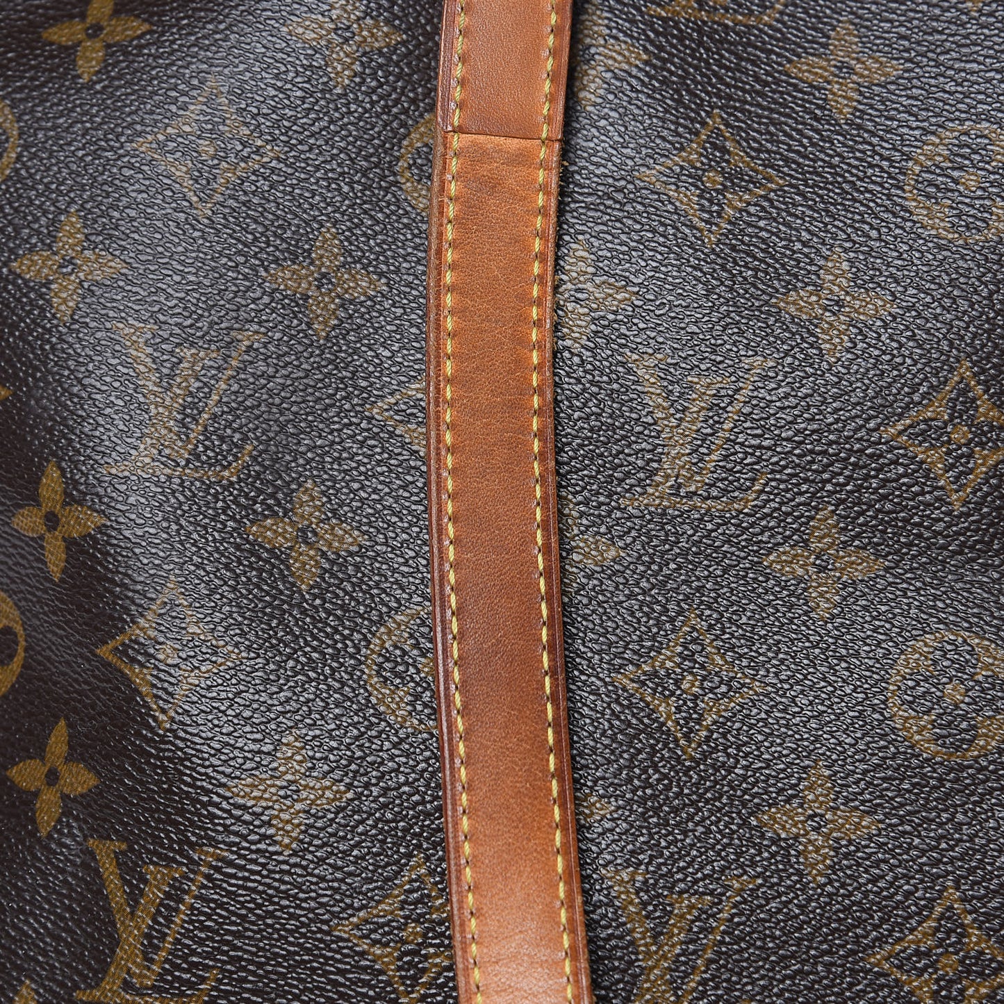Monogram Cabas Mezzo