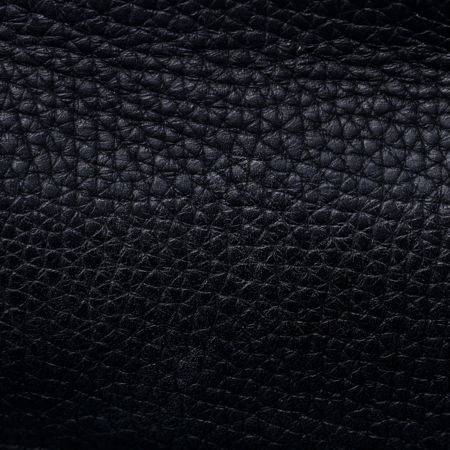 Taurillon Clemence Kelly Retourne 35 Black