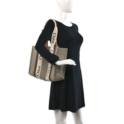 Chloe Cotton Calfskin Medium Woody Ribbon Tote White Brown 2 of 8