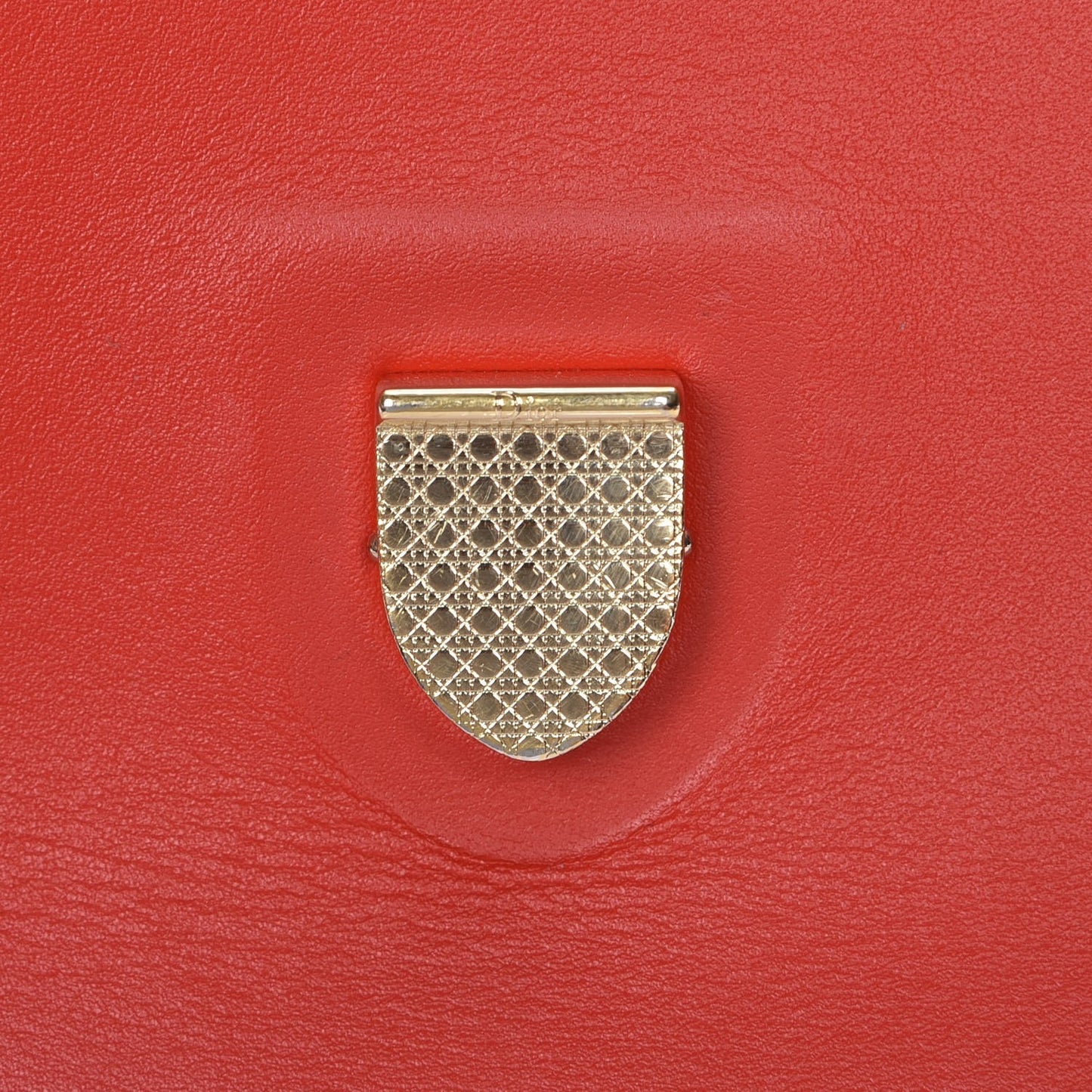 Calfskin Diorever Squad Flap