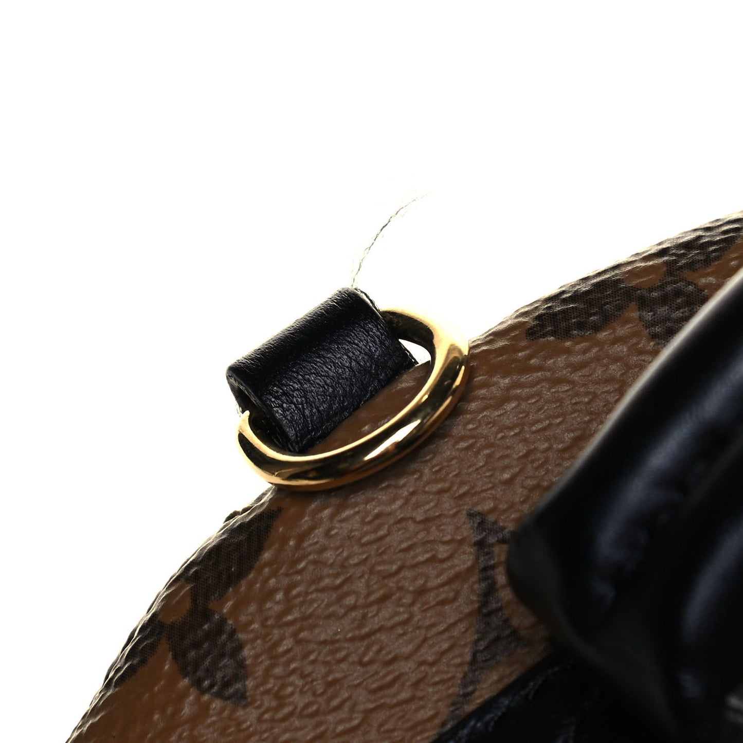 Reverse Monogram Palm Springs Backpack Mini